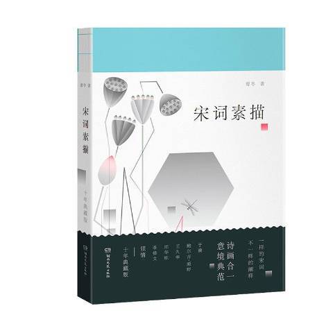 宋詞素描(2021年湖南文藝出版社出版的圖書)