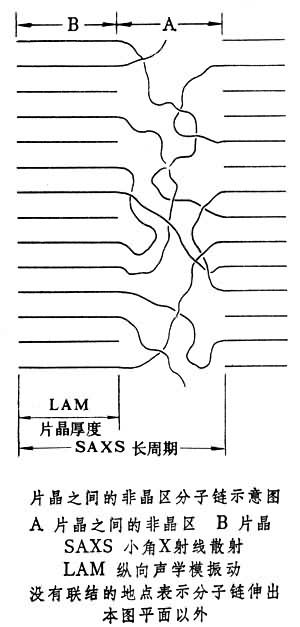 高聚物非晶態結構