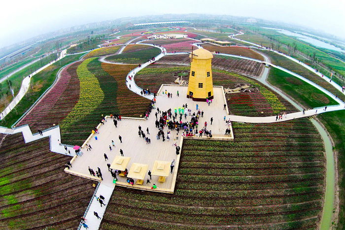 溫州龍灣雅林現代農業園