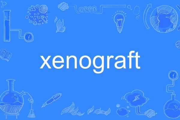 xenograft