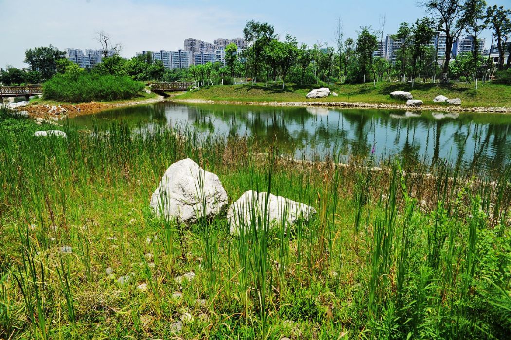 成都新成華公園