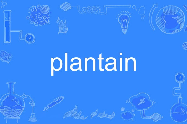 plantain