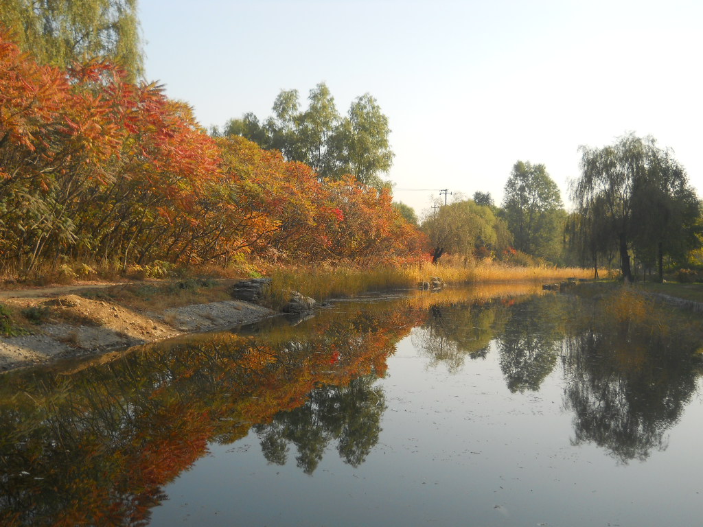 紅關村