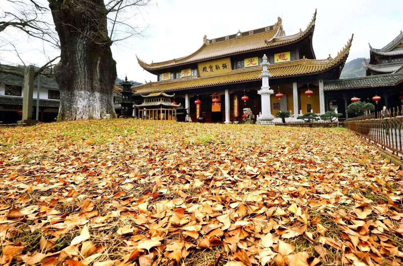 蓮花古寺