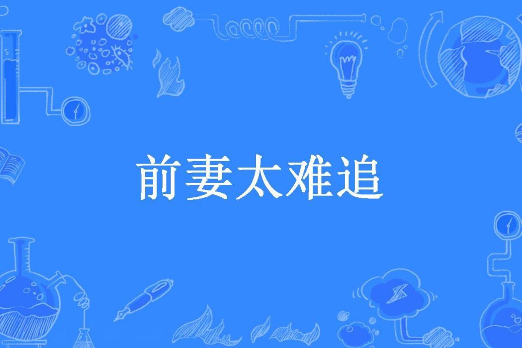 前妻太難追(清婉。所著小說)