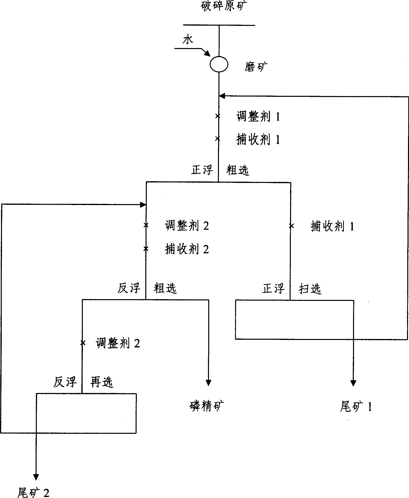 一種膠磷礦正反浮選工藝