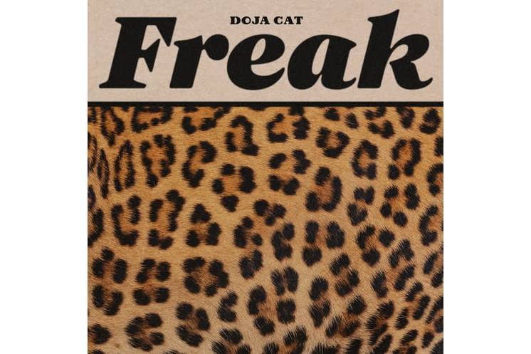 freak(2020年Doja Cat演唱的歌曲)