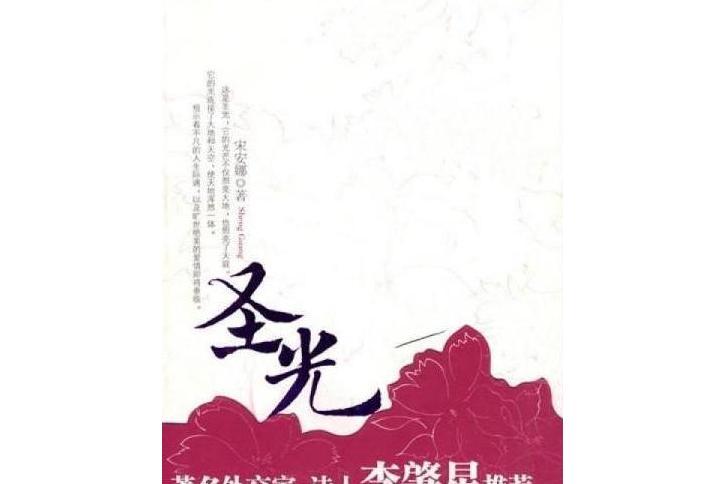 聖光(2008年新世界出版社出版的圖書)