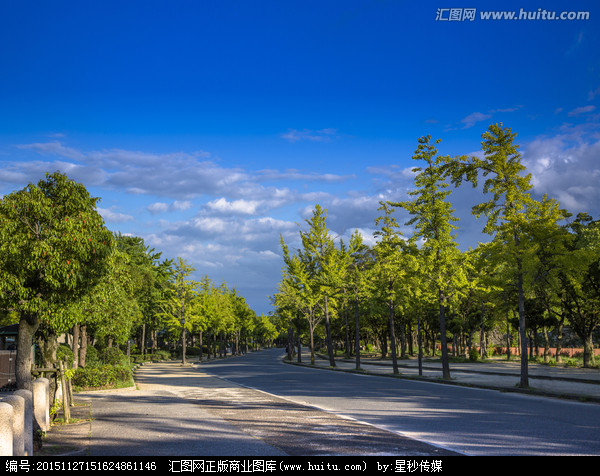 風景區道路