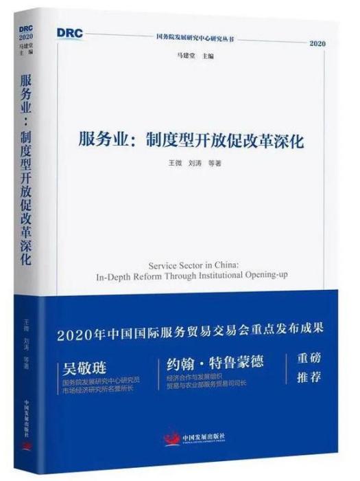 服務業：制度型開放促改革深化