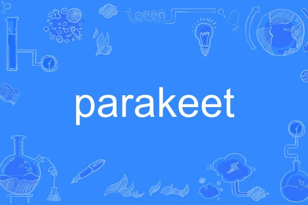 parakeet