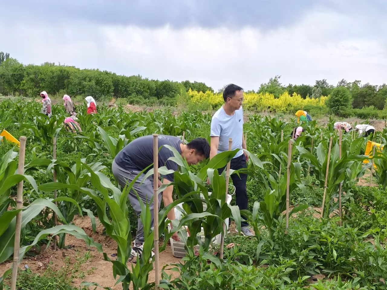 新民村