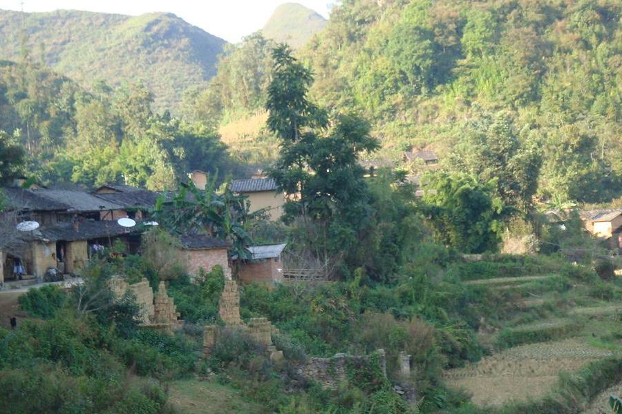 下嶺村(雲南省文山州馬關縣仁和鎮下轄村)