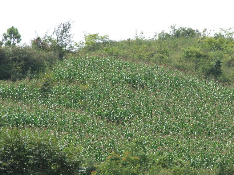 鍋西甸村