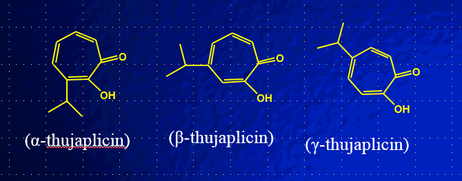 troponoids