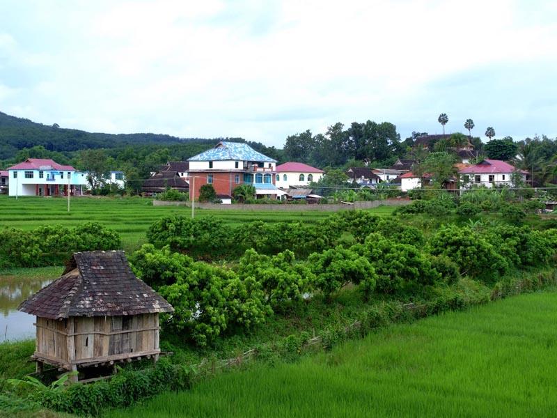 曼景勐村