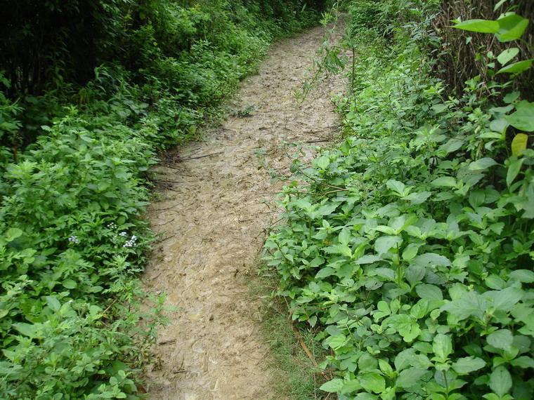 涼水溝村