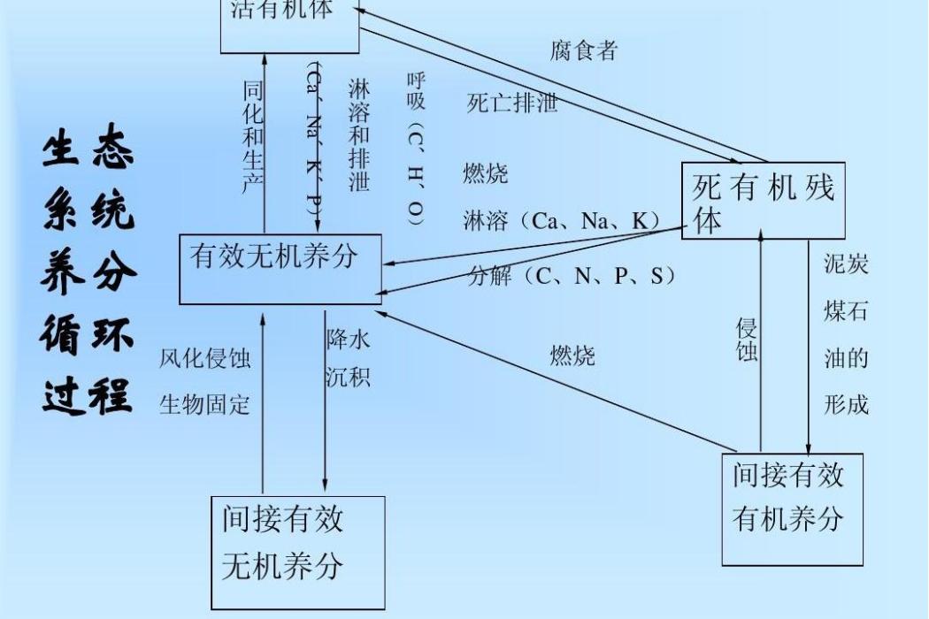 有機養分