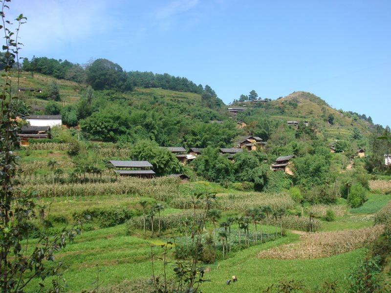 大茨菇塘自然村