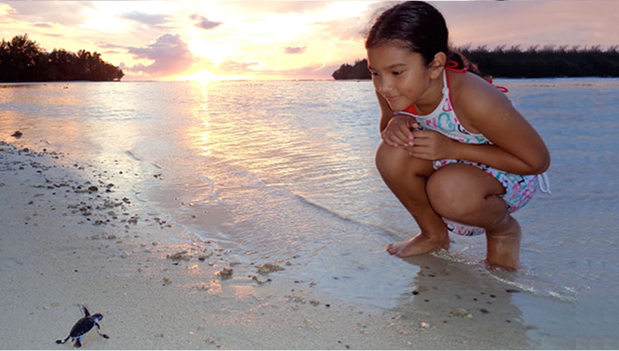 塔希提島一名10歲小女孩正在觀看一隻獲救的小綠海龜走向鹽湖