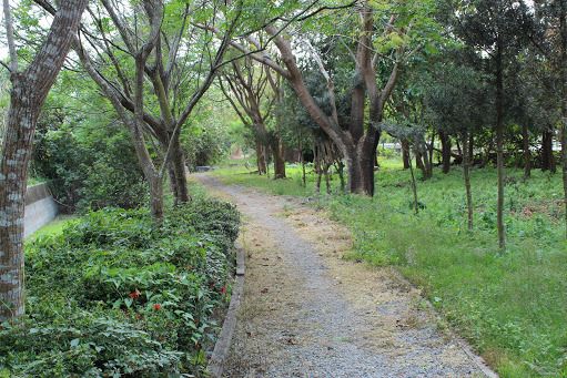 建功森林親水公園