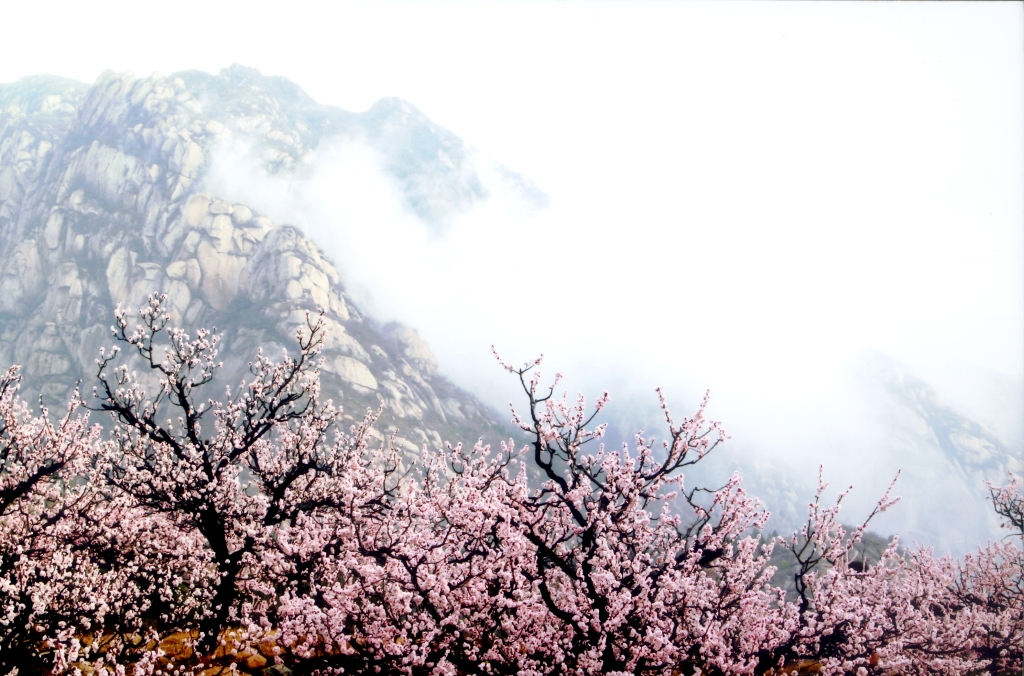 北京鳳凰嶺景區