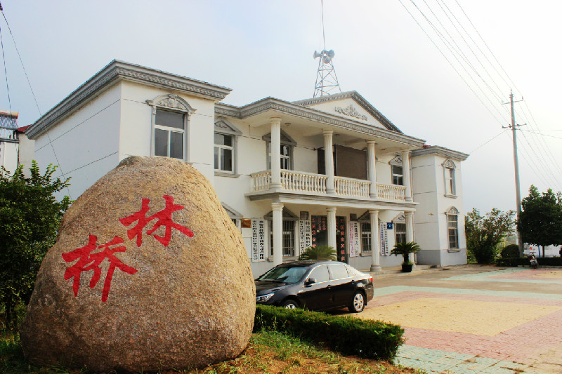 林橋村(福建莆田城廂區鳳凰山街道林橋村)