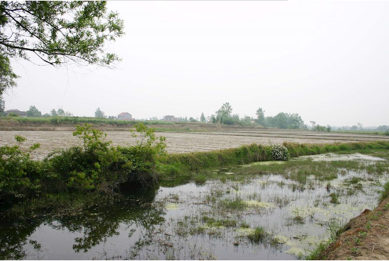 孫家崗遺址