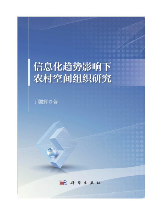 信息化趨勢影響下農村空間組織研究