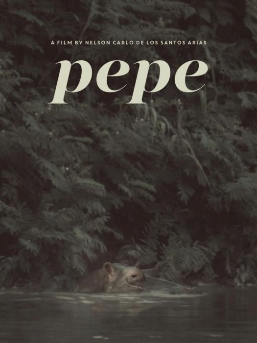 Pepe(內爾松·阿里亞斯編劇並執導的電影)