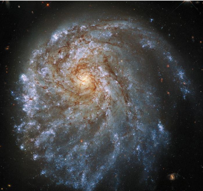 NGC2276