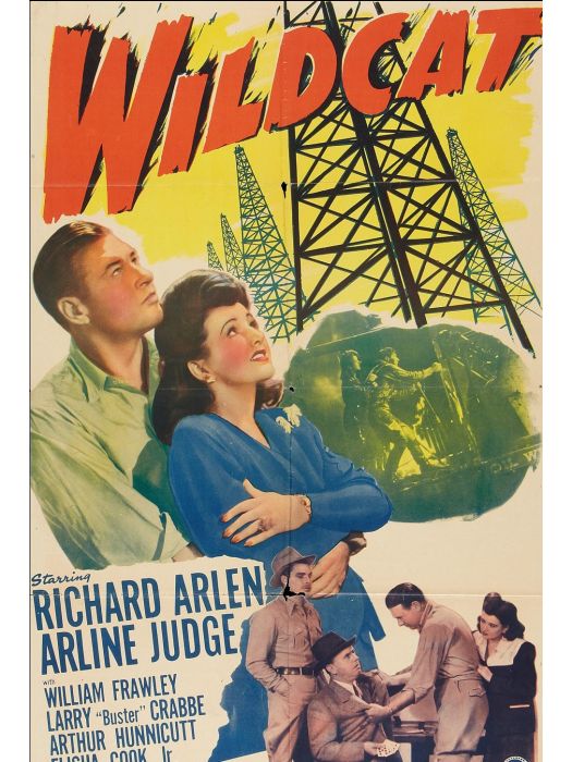 Wildcat(美國1942年Frank McDonald執導的電影)