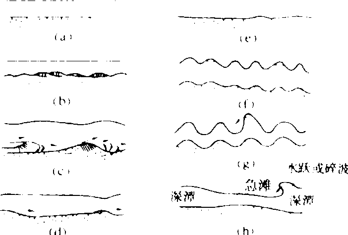 沙波運動