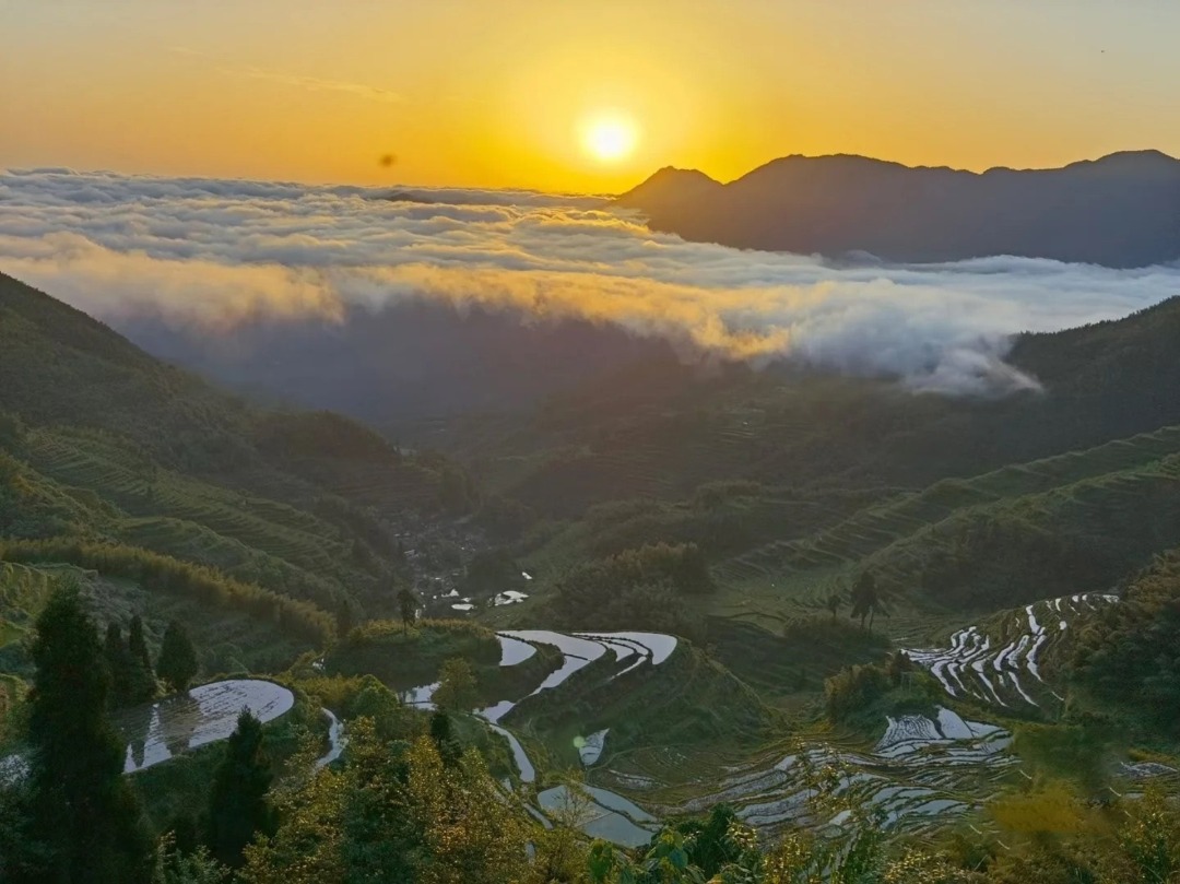 雲和梯田景區