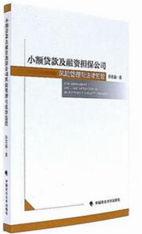 小額貸款及融資擔保公司風險管理與法律監管