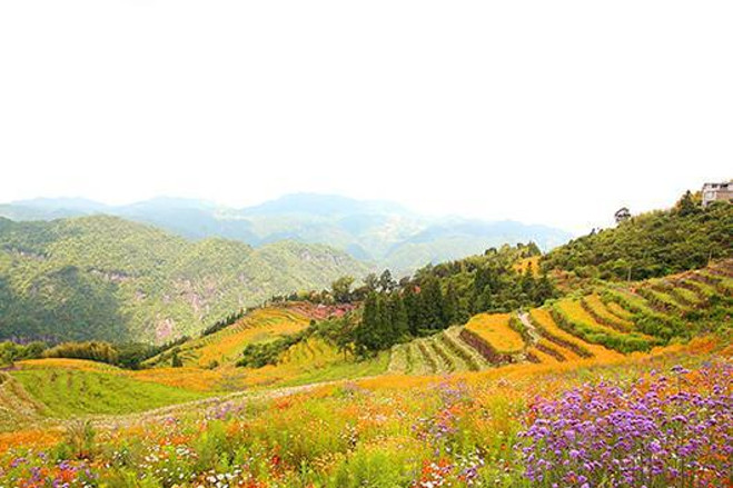 雲頂旅遊區