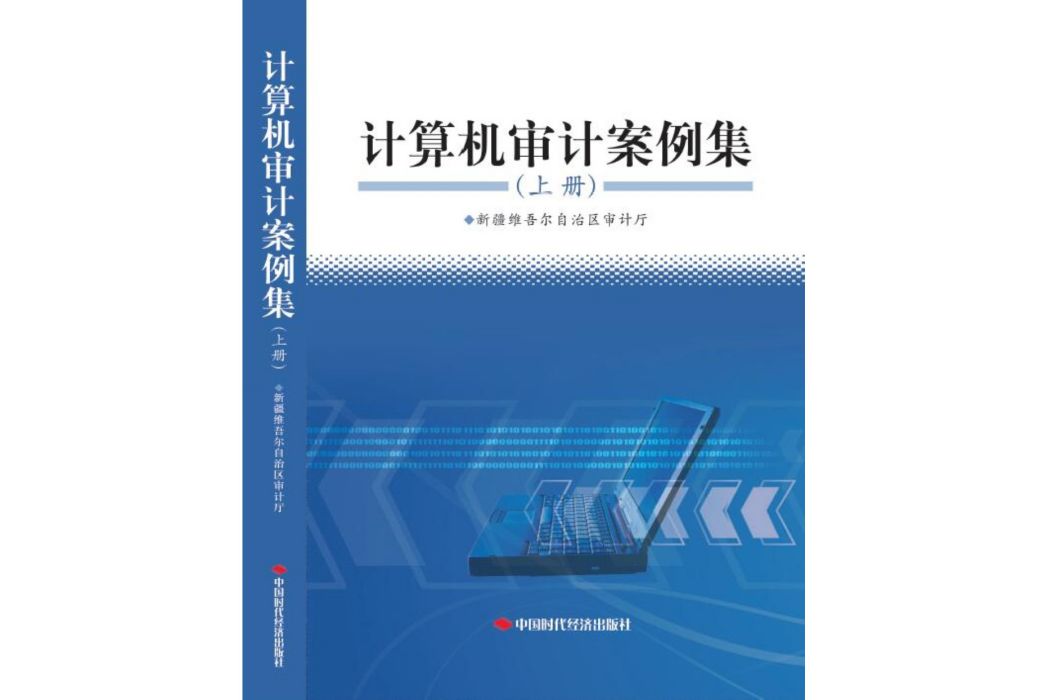 計算機審計案例集：全2冊