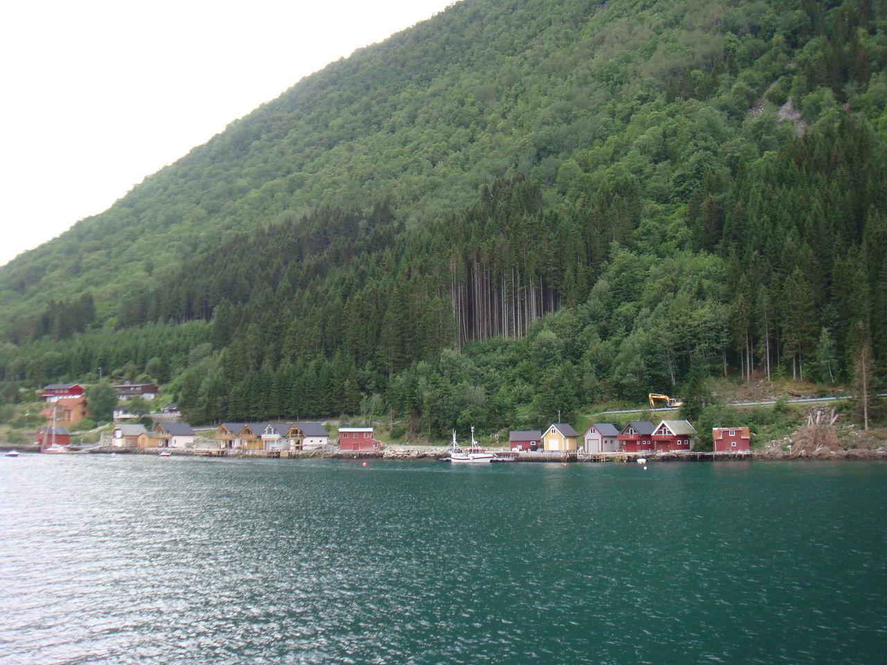 松恩峽岸邊的挪威森林