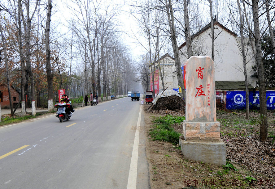 肖莊村(雲南省保山市騰衝市荷花鄉下轄村)