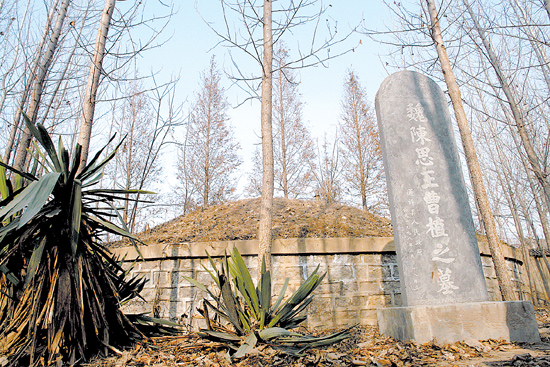 通許七步村曹植墓