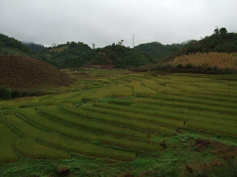 麻立坡自然村-旱地