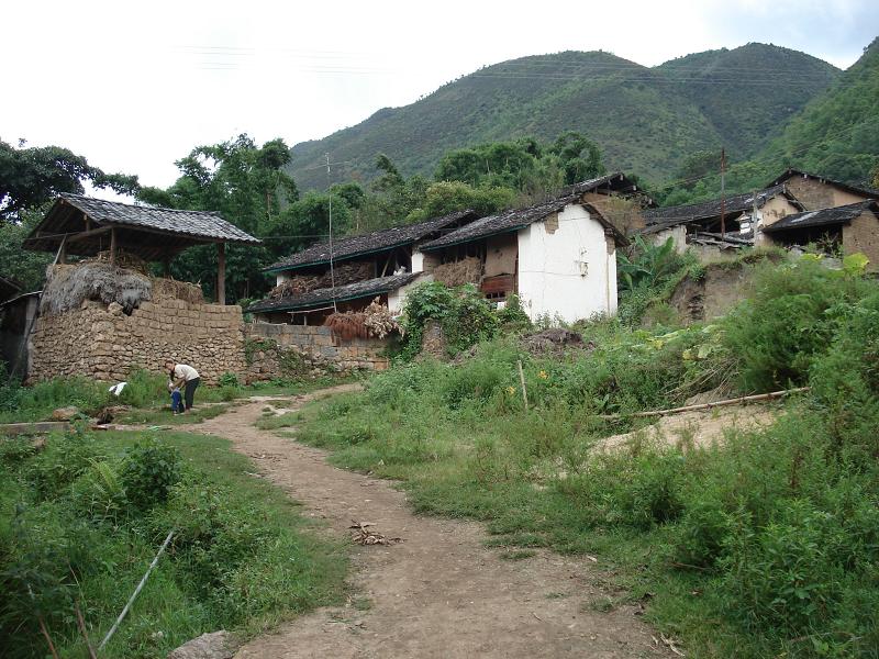 大松林自然村(雲南臨滄鳳慶縣營盤鎮安平村委大松林自然村)