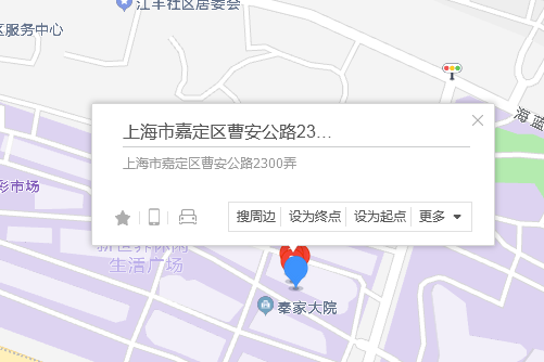 曹安公路2300弄99號