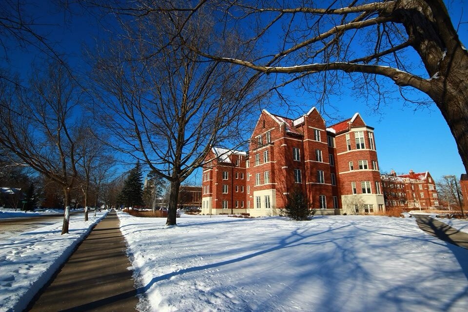 卡爾頓學院(Carleton College)