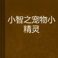 小智之寵物小精靈