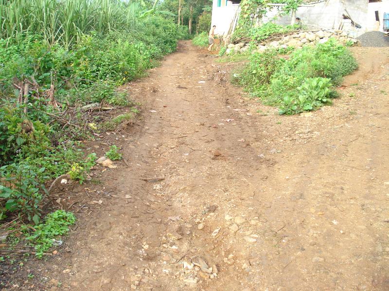 芒壯自然村村內道路