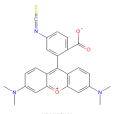 四甲基羅丹明-6-異硫氰酸酯