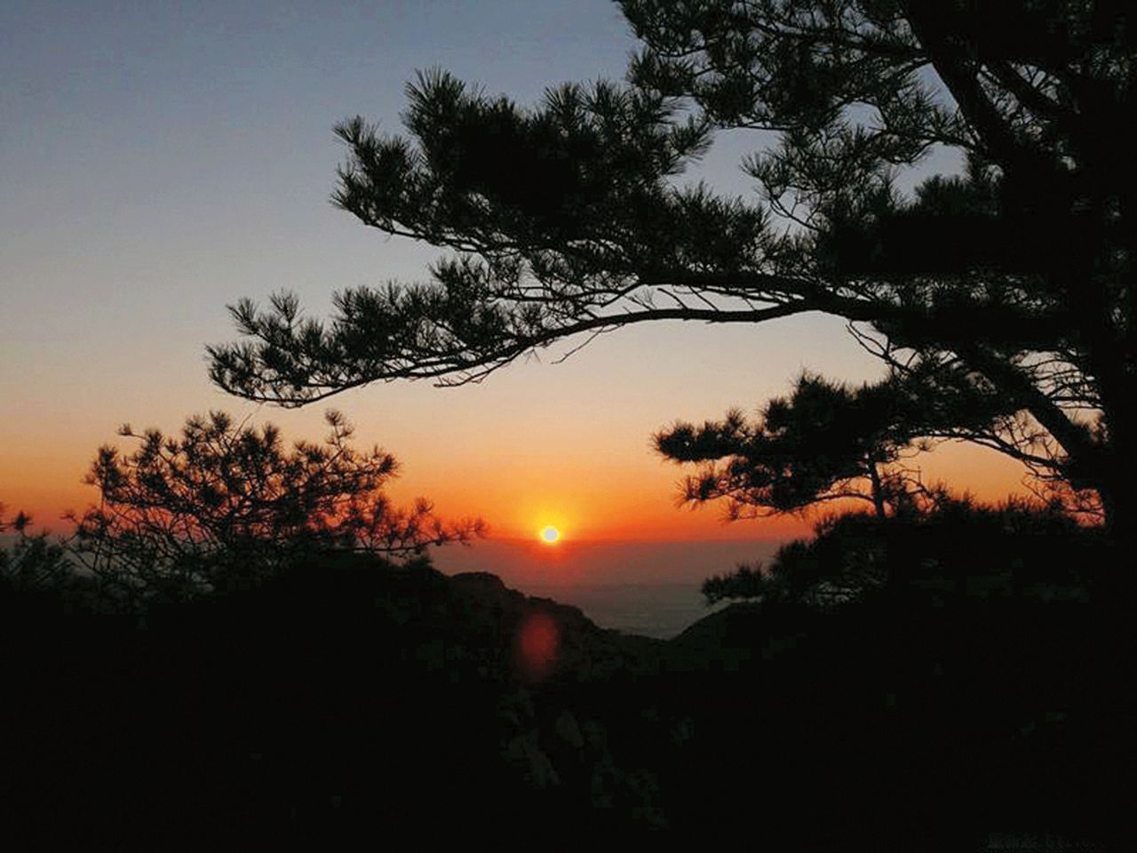 烏金山國家森林公園(山西烏金山國家森林公園)