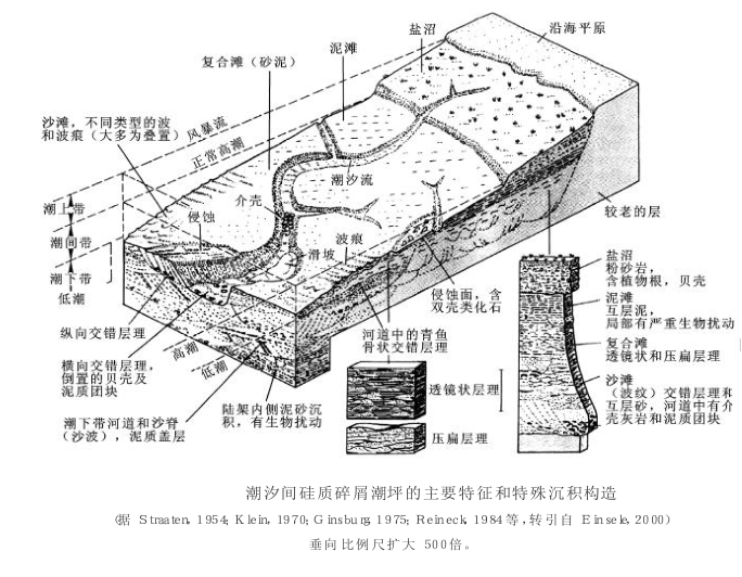 碎屑濱岸沉積體系