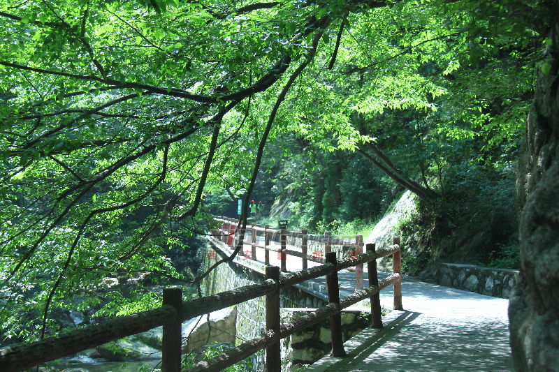 太平國家森林公園(陝西太平國家森林公園)